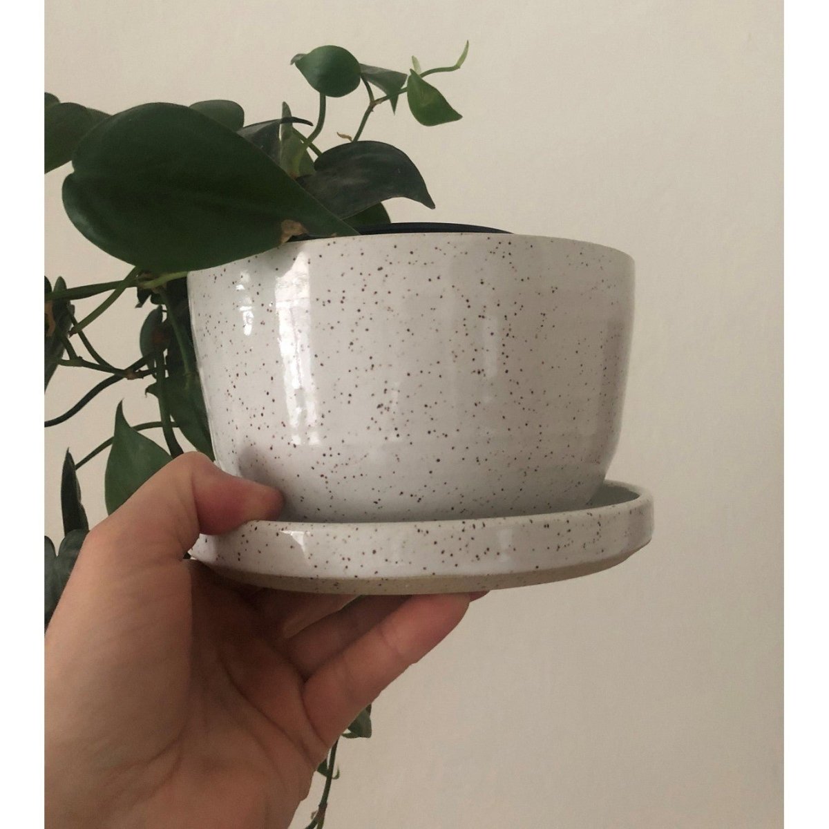 Lot.Ceramics Planter with DrainagePots & PlantersGloss White