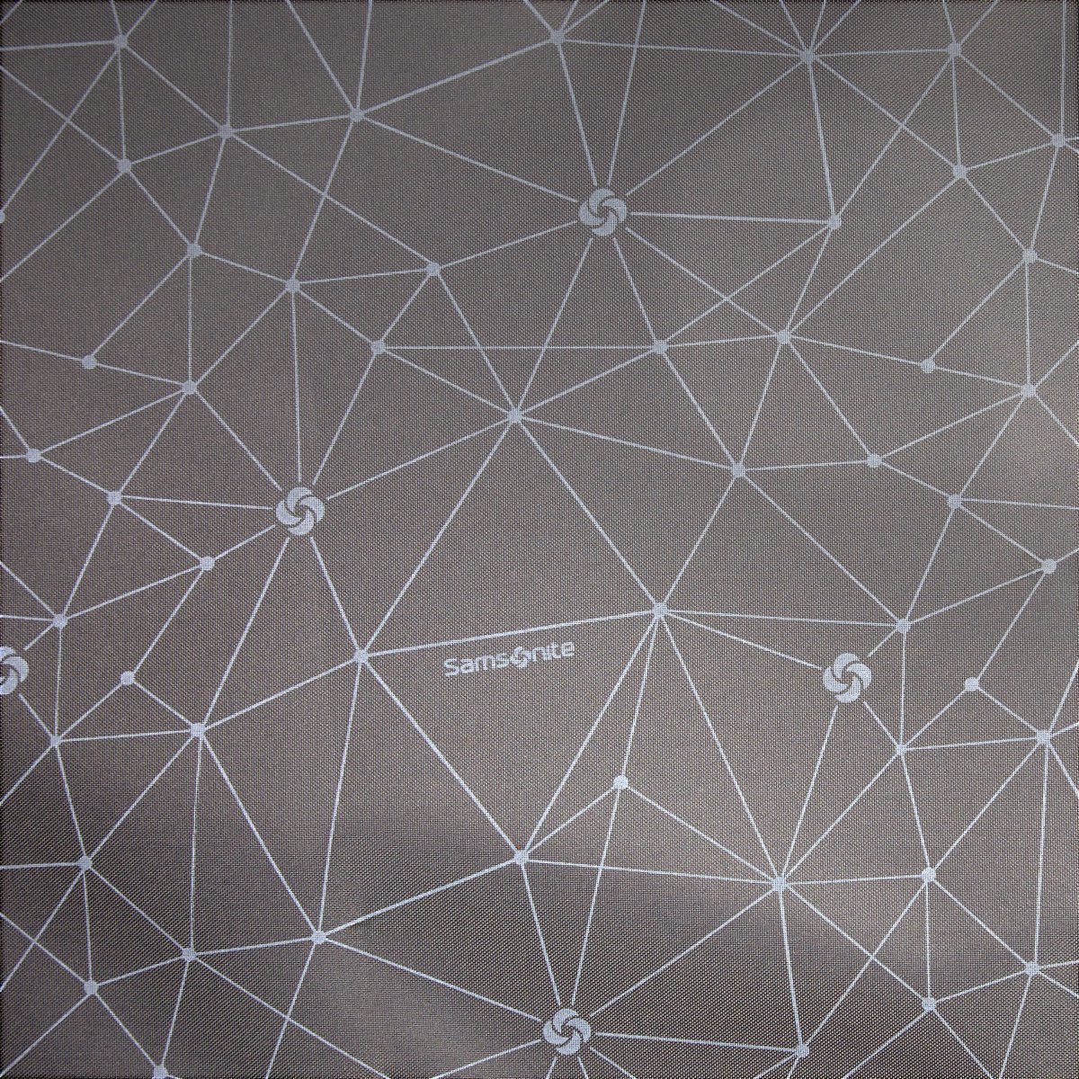 Samsonite Companion Bags Weekender