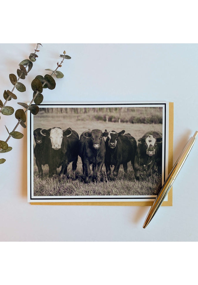 From My Angle Photography - NotecardsNote CardCows