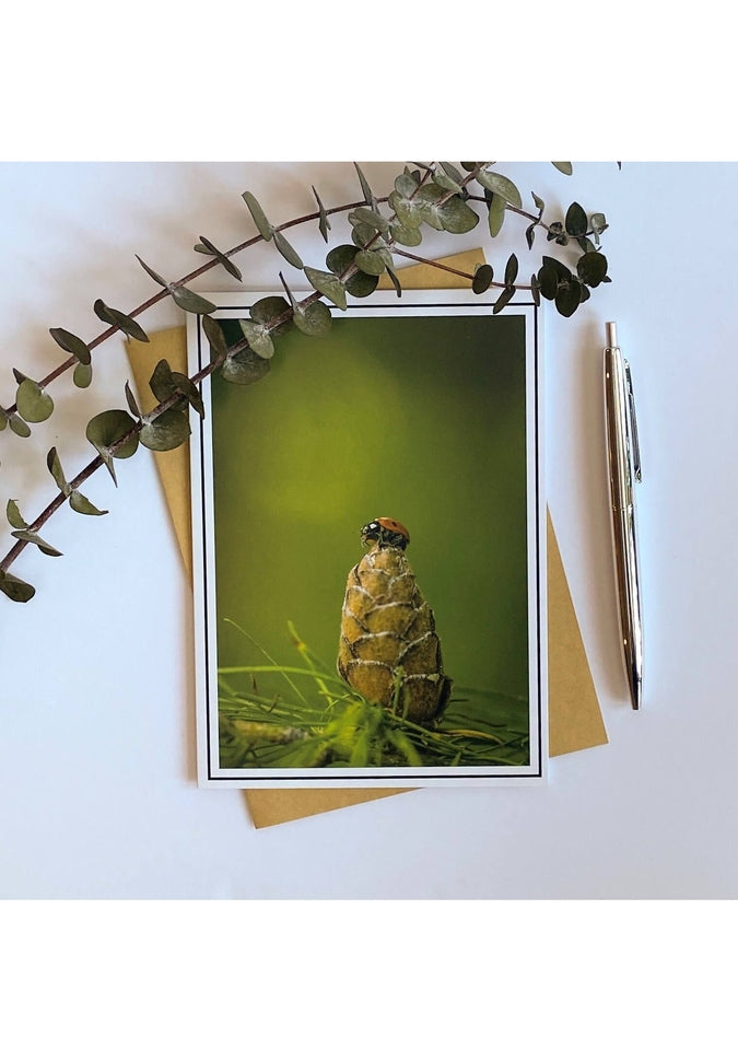 From My Angle Photography - NotecardsNote CardLadybug