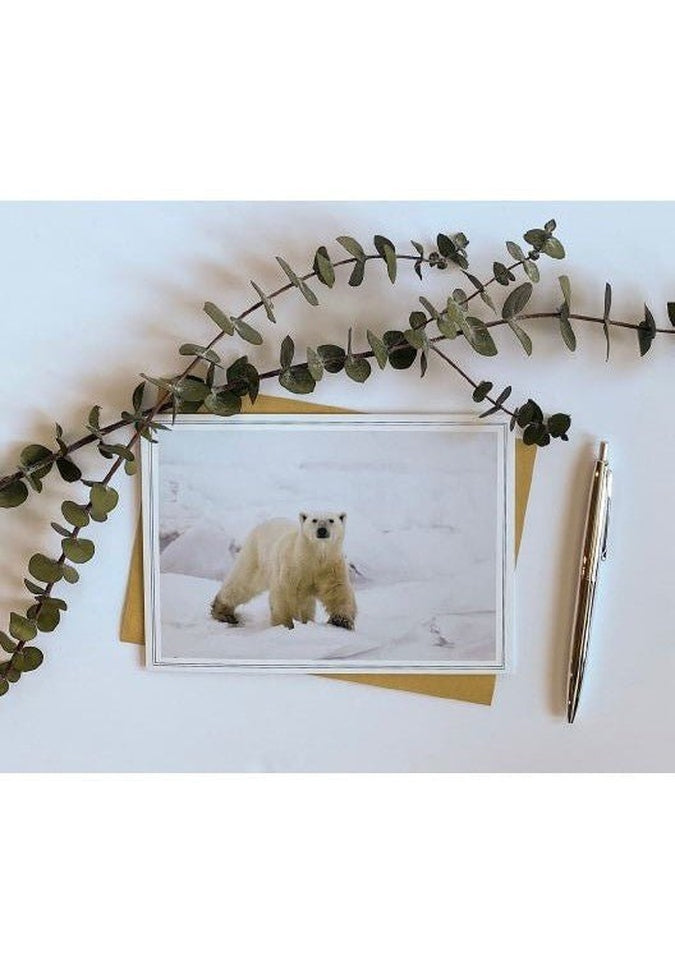 From My Angle Photography - NotecardsNote CardPolar Bear Standing
