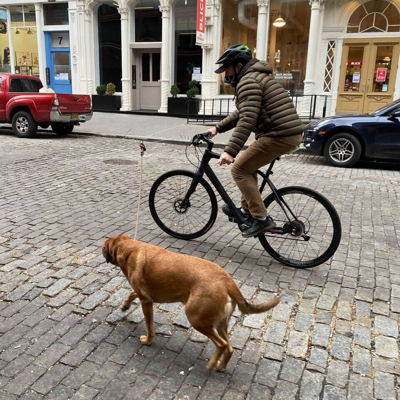 KikkerlandKikkerland Dog Leash Bike Clip1016905