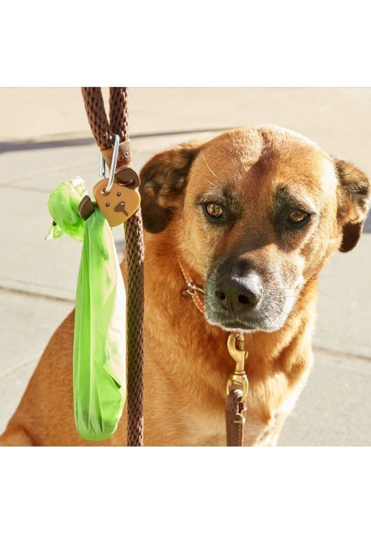 Product Image – Kikkerland Dog LightDog Supplies