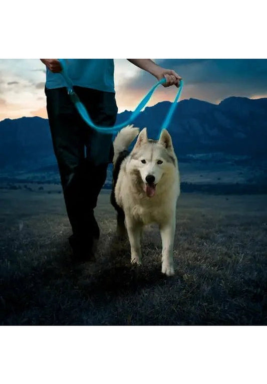 Product Image – Nite Ize NITEDOG® RECHARGEABLE LED LEASHPet AccessoriesGreen