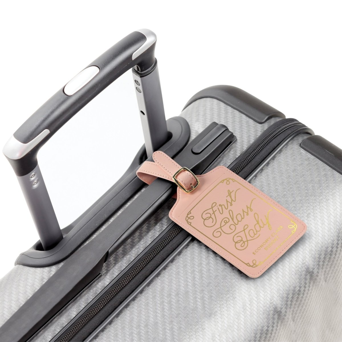 Fred - Wander Ware Luggage Tag - 7 styles availableLuggage Tags1st Class