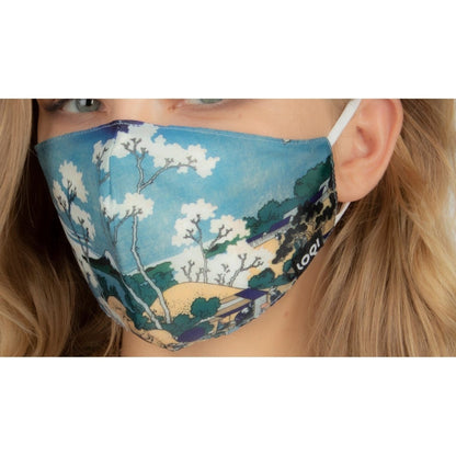 Non Medical Loqi Museum Print Face Masks - ONLINE ONLYPPEFuji from Gotenyama Mask