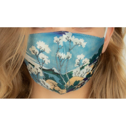 Non Medical Loqi Museum Print Face Masks - ONLINE ONLYPPEFuji from Gotenyama Mask