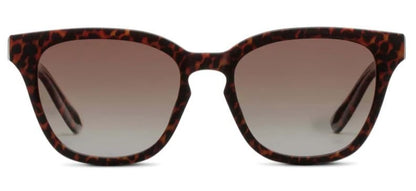 Peepers Pisa SunglassesSUNGLASSESLeopard Tortoise