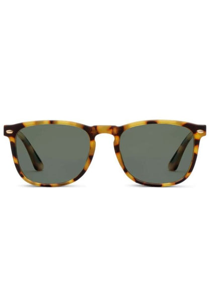 Peepers Solstice SunglassesSUNGLASSESTokyo Tortoise