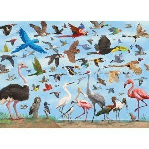 Peter Pauper Press Jigsaw PuzzlesGameAll the Birds