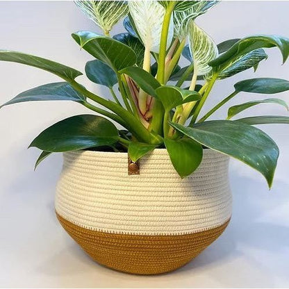 Prairieknotco Belly Basket - 3 colours availablePots & PlantersGold/Natural