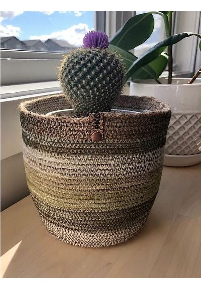 Prairieknotco Variegated Green with Twine Basket - MediumHome Decor