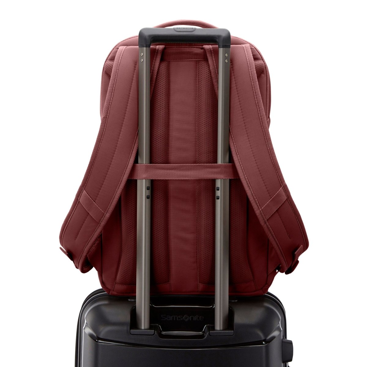 Samsonite Companion Bags Laptop Backpack