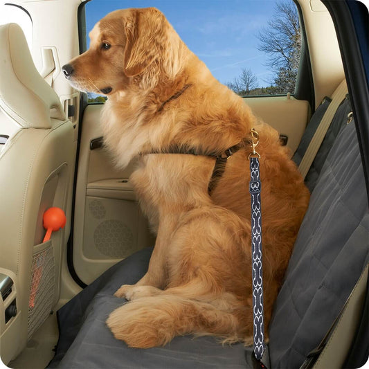 Product Image – Image showing a golden retriever dog sitting in the back seat of a vehicle with the product strapped around its torso.