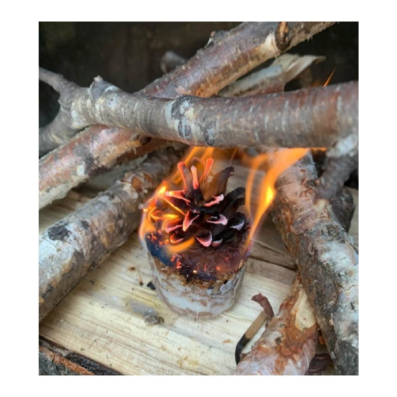 Little Wood Chipper Pinecone Fire Starters - SingleFire Starter