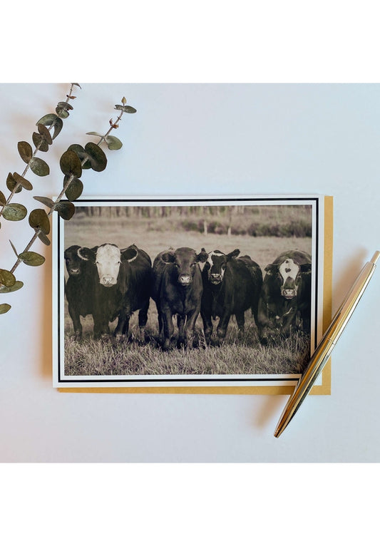 Product Image – From My Angle Photography - NotecardsNote CardCows