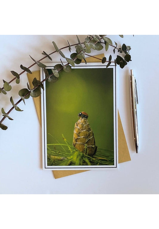 Product Image – From My Angle Photography - NotecardsNote CardLadybug