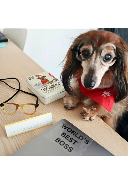 Kikkerland Take Your Dog to Work Day KitPet Accessories