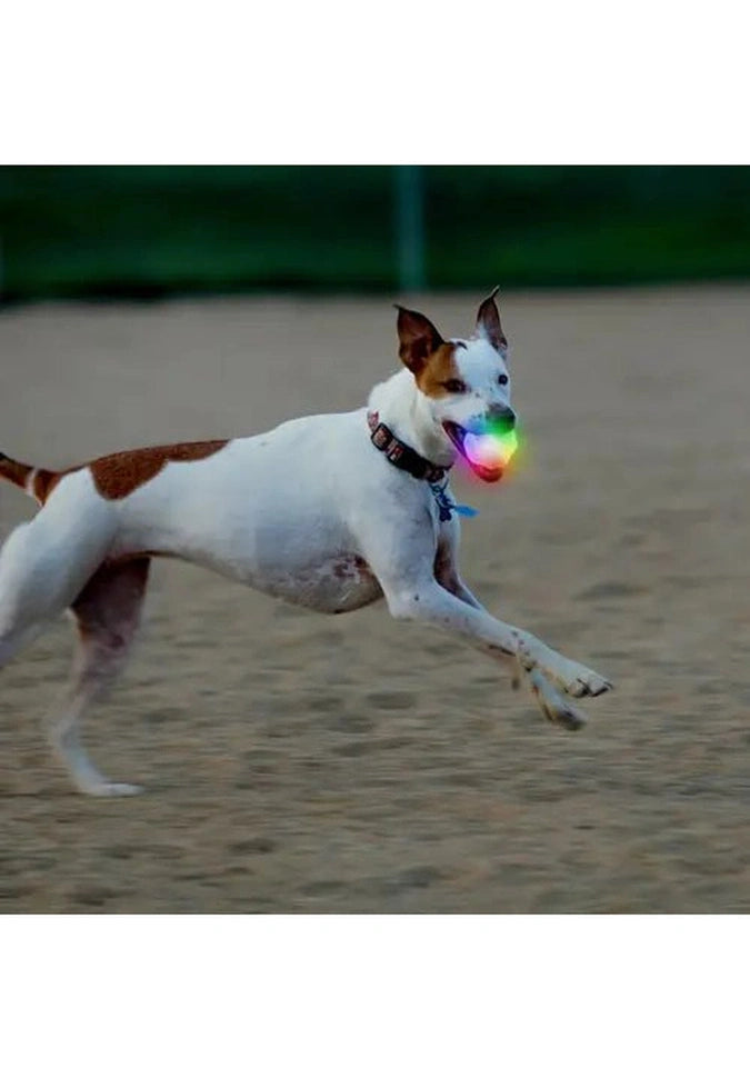 Nite clearance ize glowstreak